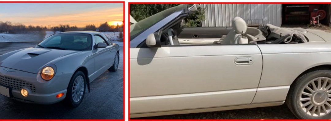 NASHI’s Auto Lotto and 50/50 must be purchased by October 14, 2024.